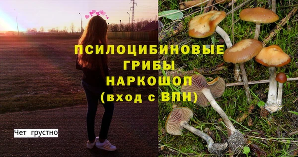 метадон Алексин