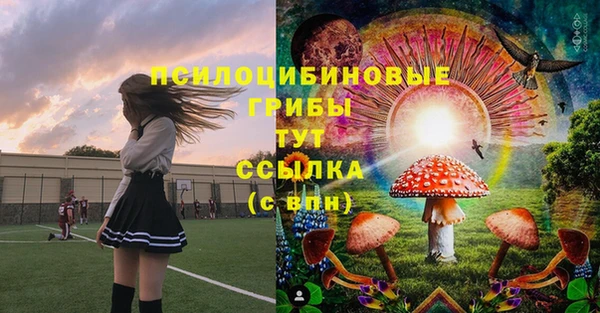 дмт Алексеевка